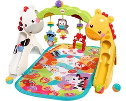 Newborn-to-Toddler Gym