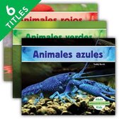 Animales de Colores (Animal Colors)