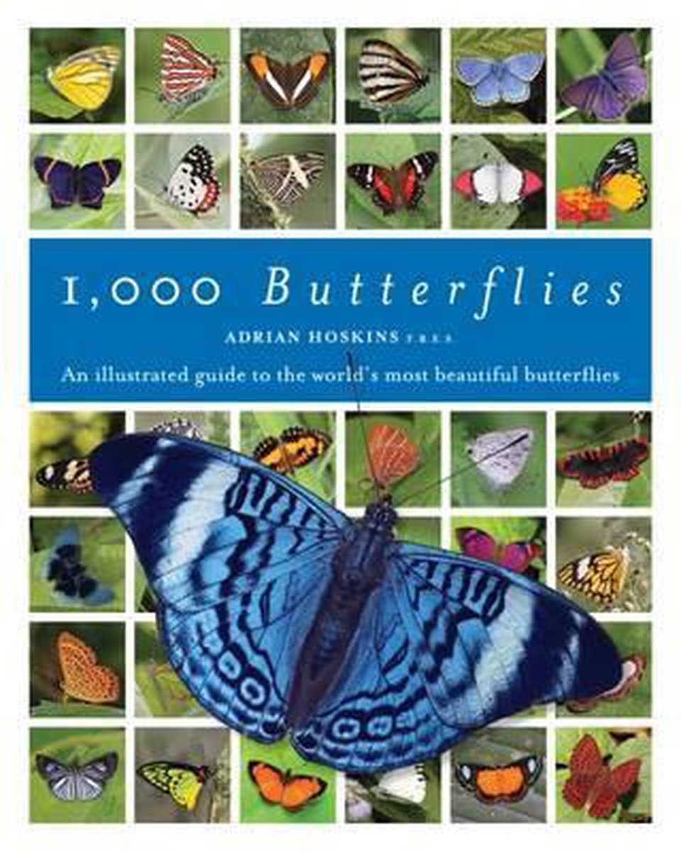 洋書 Adrian Hoskins 1,000 Butterflies 1000 Butterflies, Adrian Hoskins | 9781921517563 | Boeken | bol
