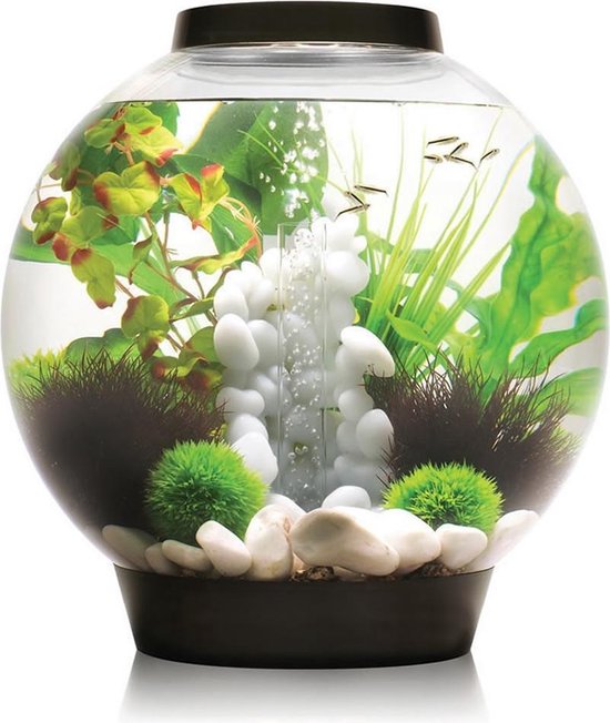 verfrommeld Pennenvriend zal ik doen biOrb Baby Standard LED Aquarium - 30x30x32 cm - 15 liter - Zwart | bol.com