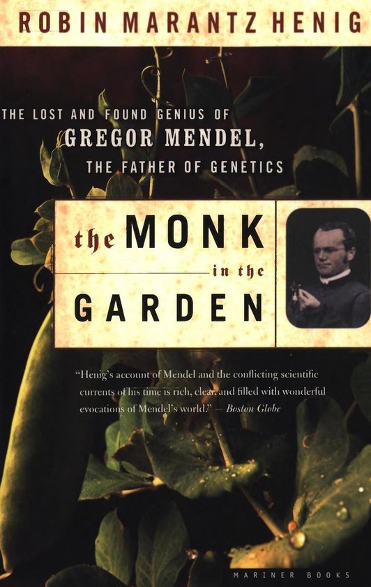 The Monk in the Garden - cover