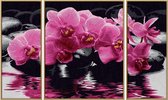 Schipper Schilderen op Nummer - Orchidee�n - Hobbypakket
