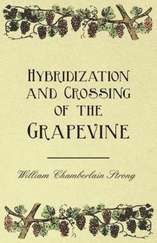 Foto: Hybridization and crossing of the grapevine