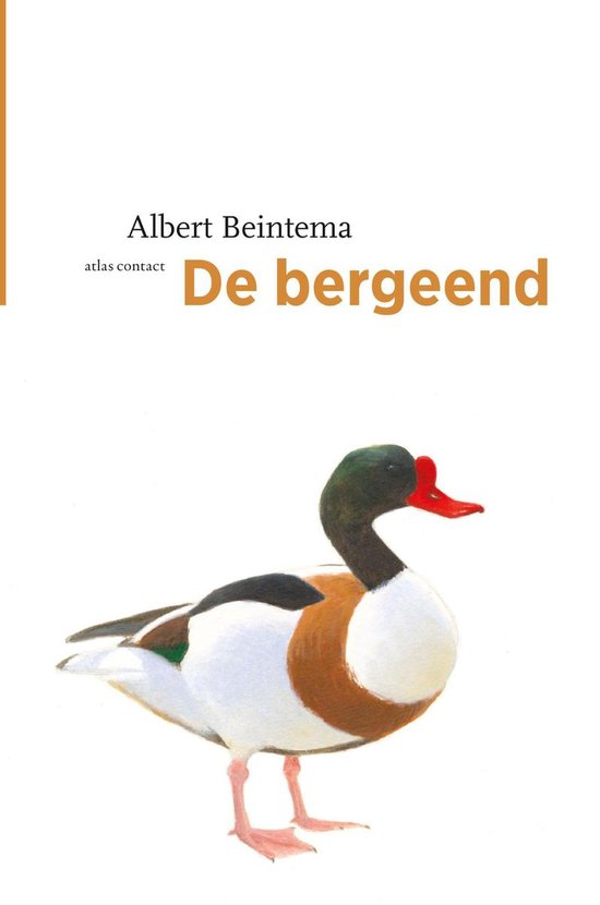De vogelserie 16 -   De bergeend