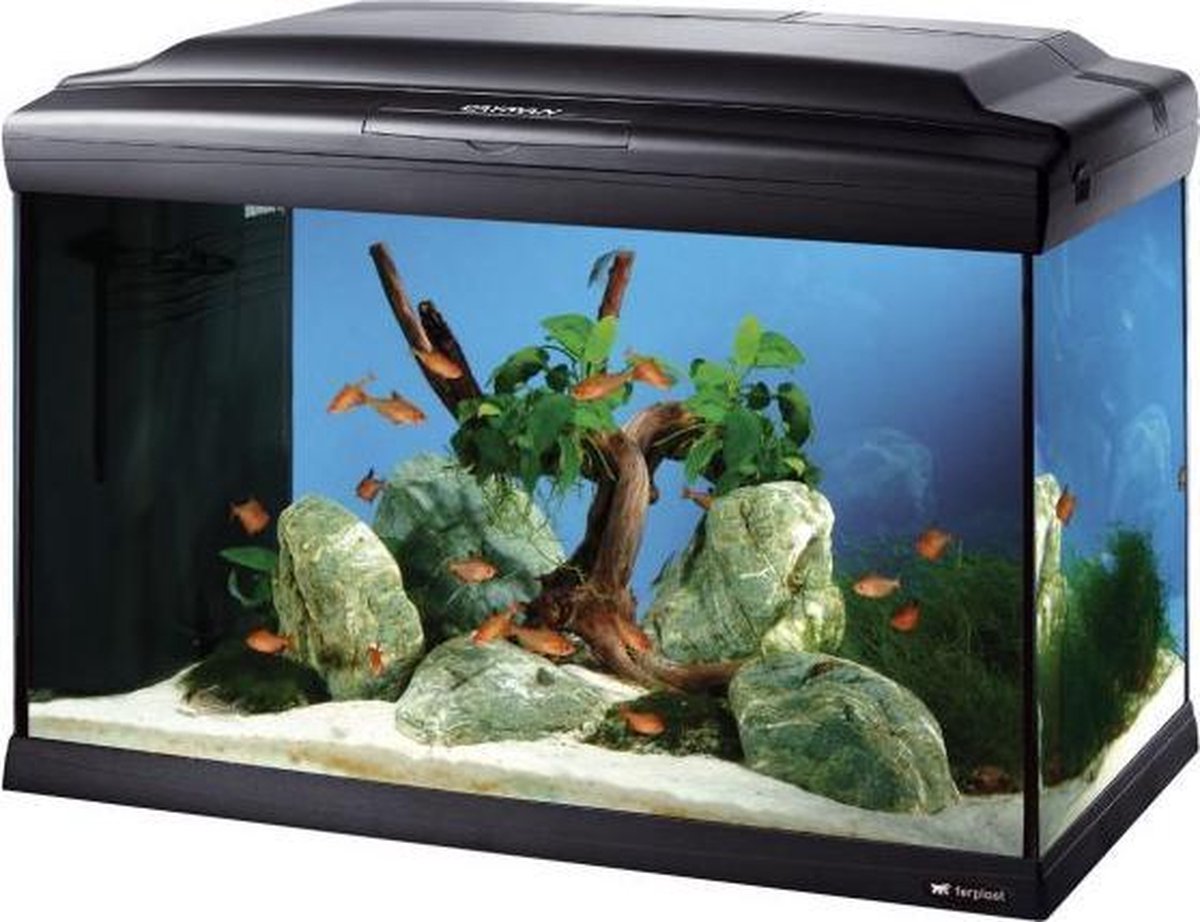 lobby redden tragedie Ferplast aquarium cayman 60 professional zwart | bol.com