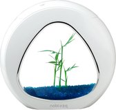 Nobleza Mini Design Aquarium - 29x15x26.5 cm - 4L - Wit