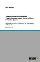 Verarbeitungsstrukturen Und Verarbeitungsprozesse Für Sprachliche Daten Im Gehirn