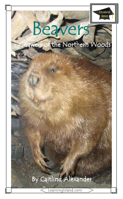 15-Minute Books 323 - Beavers: Gnawers of the Northern Woods ... - cover