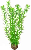 Superfish easy plants hoog nr. 1, van plastic 30 cm - 1 ST