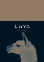 Animal - Llama