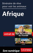 Itinéraire de rêve pour voir les animaux - Afrique