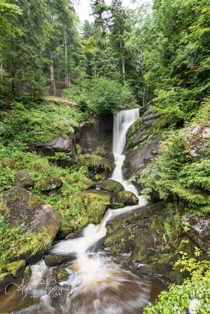 Alex F Fotografie Foto op Canvas, Waterval Staand (120x80cm) groen