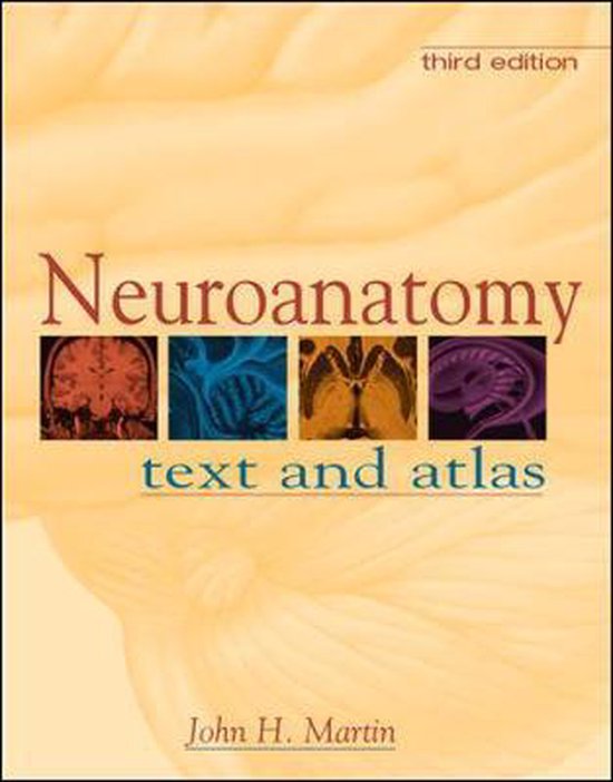 Neuroanatomy