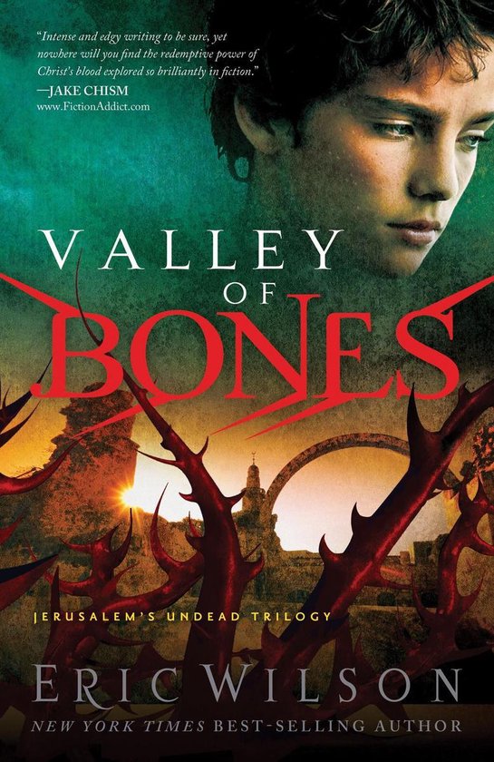 Valley of Bones - cover