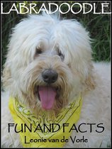 Labradoodle Fun and Facts