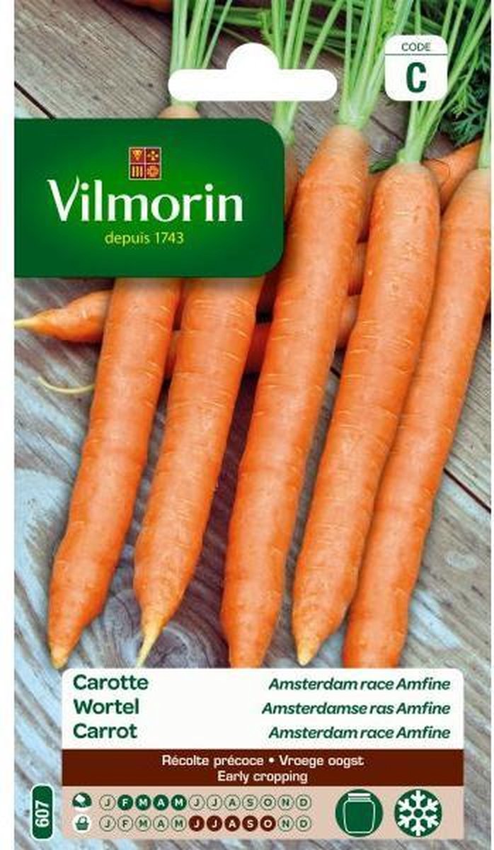 Vilmorin - Wortel Amsterdamse bak Amfine - Daucus carota