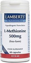 Lamberts L Methionine 500 8318