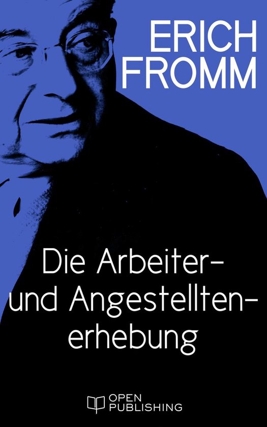 Die Arbeiter- und Angestellten-Erhebung - cover