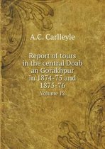 Report of tours in the central Doab an Gorakhpur in 1874-75 and 1875-76 Volume 12