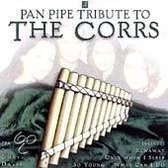 Pan Pipe Tribute To The Corrs