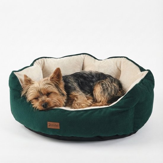Woolart Panier pour chiens - Coussin de luxe pour chiens - Panier pour chats - Lavable - Taille M - Vert