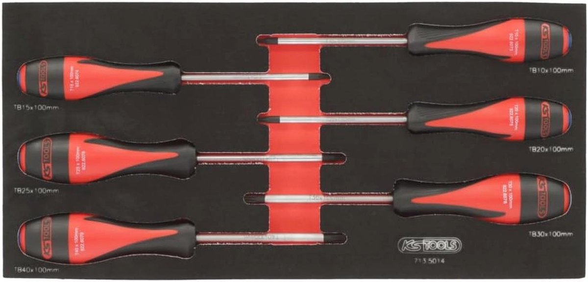 Ultimate Module-6 Torx Schroevendraaier voor Professionals