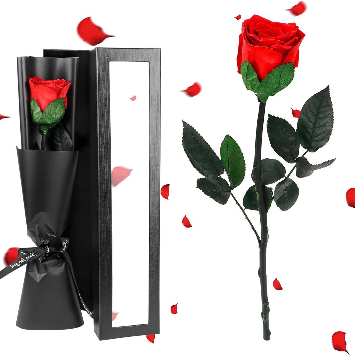 Allecta - Echte eeuwige rode roos bloemen met steel voor vrouwen - Mooi cadeau voor Valentijnsdag en Moederdag