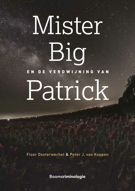 Mister Big en de verdwijning van Patrick - cover