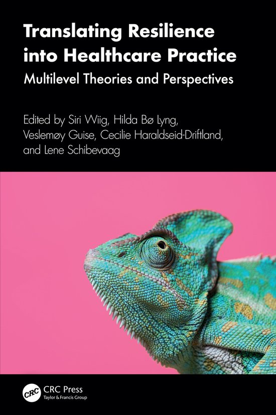 Translating Resilience into Healthcare Practice - cover