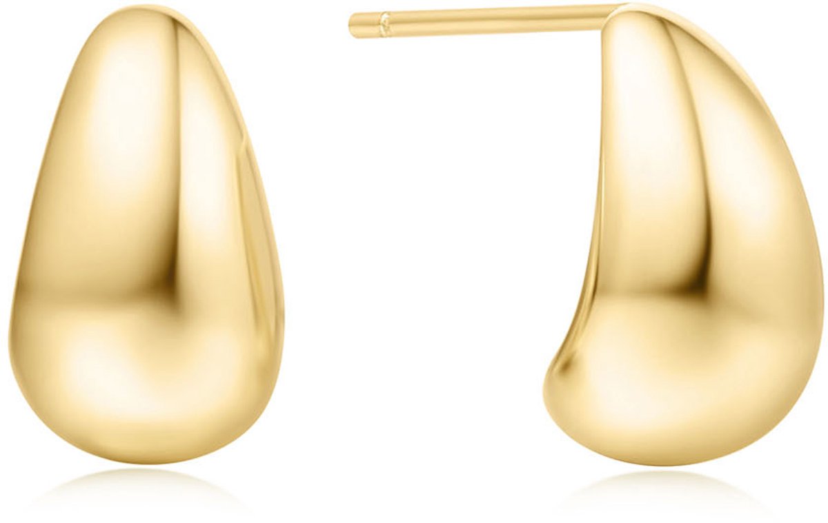 Ania Haie AH E062-05G Voque Maven Dames Oorbellen - Oorknopjes