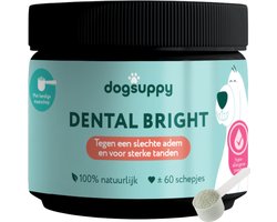 Dental Bright - Frisse Adem, Schone Gebit & Witte Tanden - Vermindert Tandplak & Tandsteen - ± 60 schepjes - 100% Natuurlijke ingrediënten - Pepermunt, Bruine Algen, Granaatappel & Cichoreiwortel - Alternatief voor Tandpasta & Tandenborstel