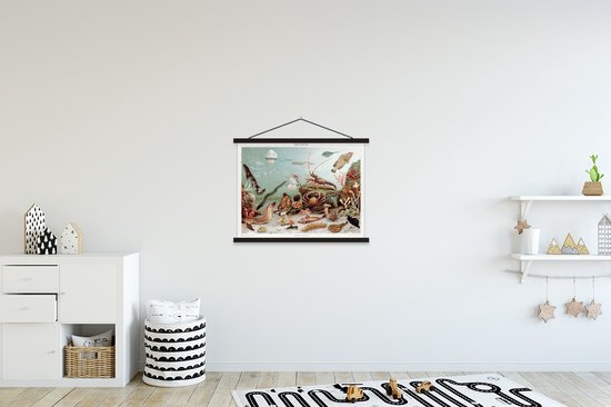 Affiche scolaire - Animaux aquatiques marins - Pierres - Vintage - Dessin - 60x45 cm - Lattes noires