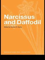 Narcissus and Daffodil