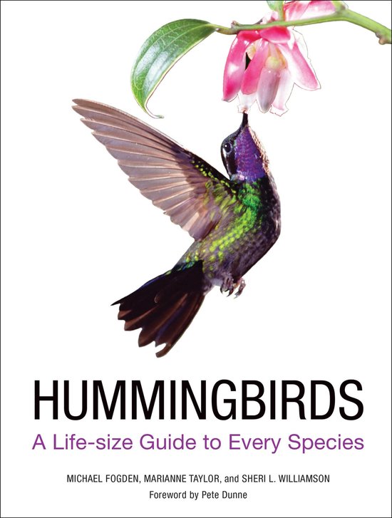 Hummingbirds - cover