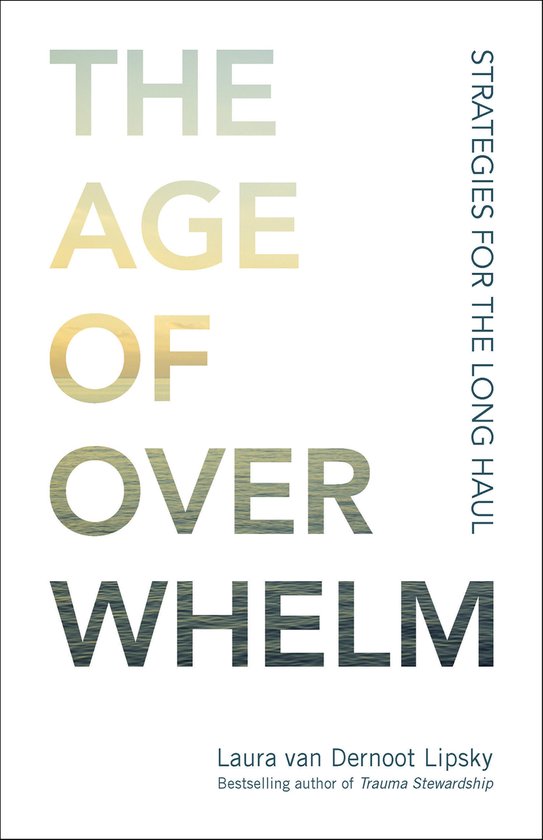 The Age of Overwhelm - cover