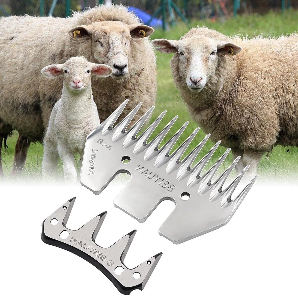 Cosensi - Schapenbladen schaar Kit voor Schapen Scheren - Elektrische Clippers