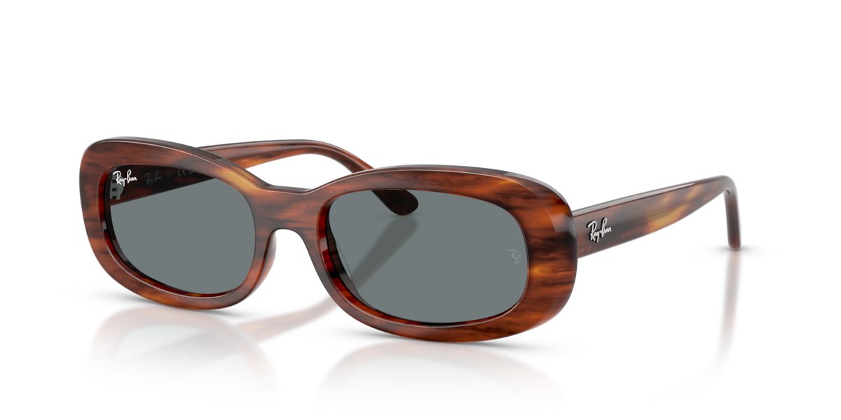 Ray-Ban zonnebril 0RB2221