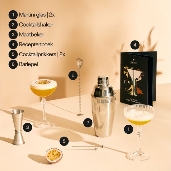 Martini Cocktail Pakket - Drank Cadeau