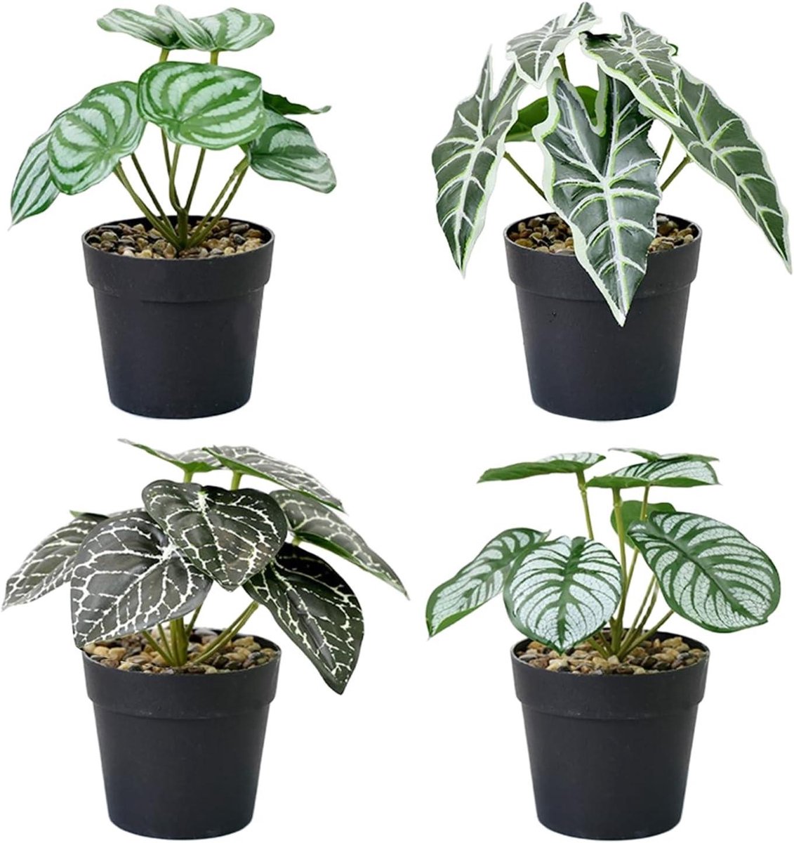 Cosensi Set van 4 mini kunstplanten voor binnendecoratie - balkon, kantoor, badkamer.