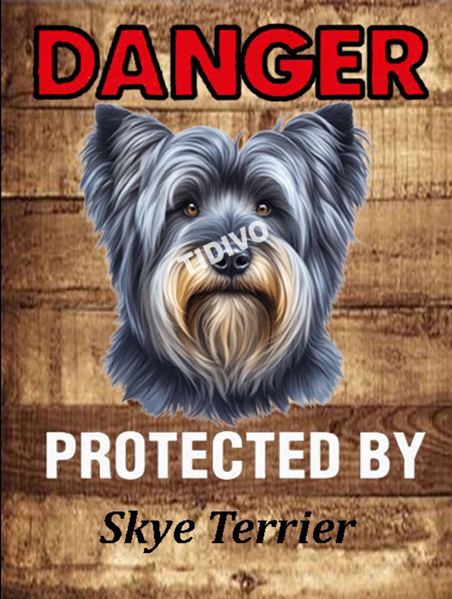 Skye Terrier 19
