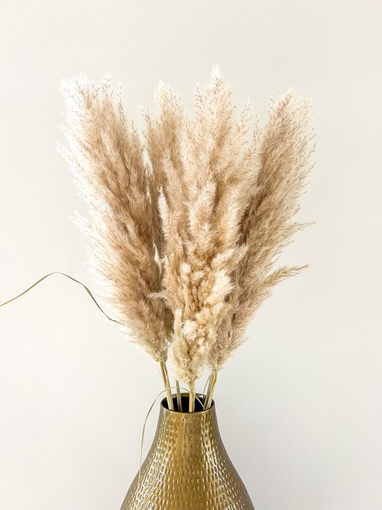 Panicules XL de pampa naturelles beiges dans un vase doré.