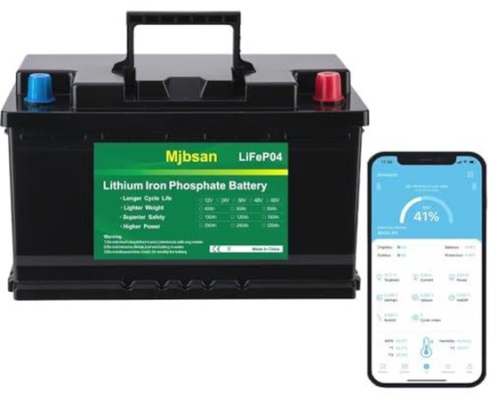 Krachtige 12V LiFePO4 Accu met 100Ah en 4000-8000 cycli voor Caravans, Camping en Zonne-energie