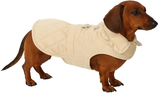 Bruine teckel met een beige, gevulde jas aan. De jas heeft een ruitenpatroon en een opstaande kraag.