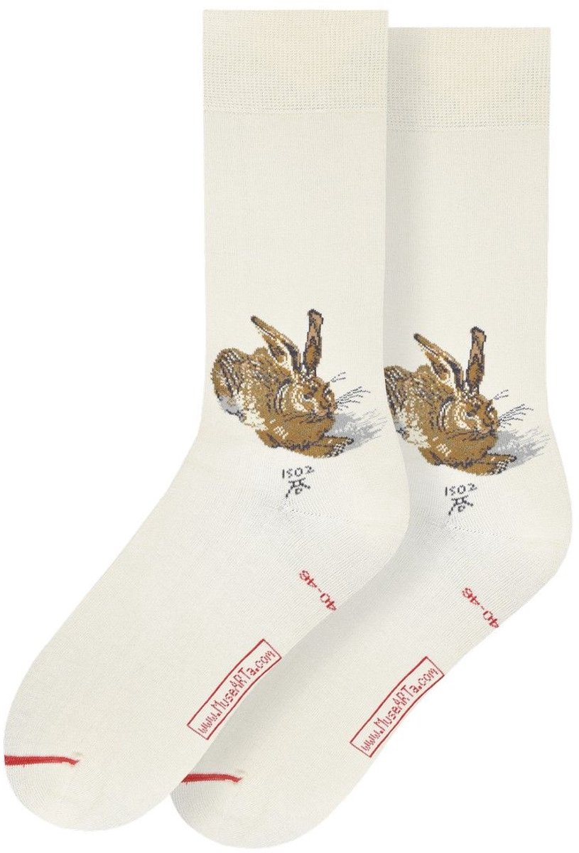 Albrecht Dürer - Young Hare 46-49