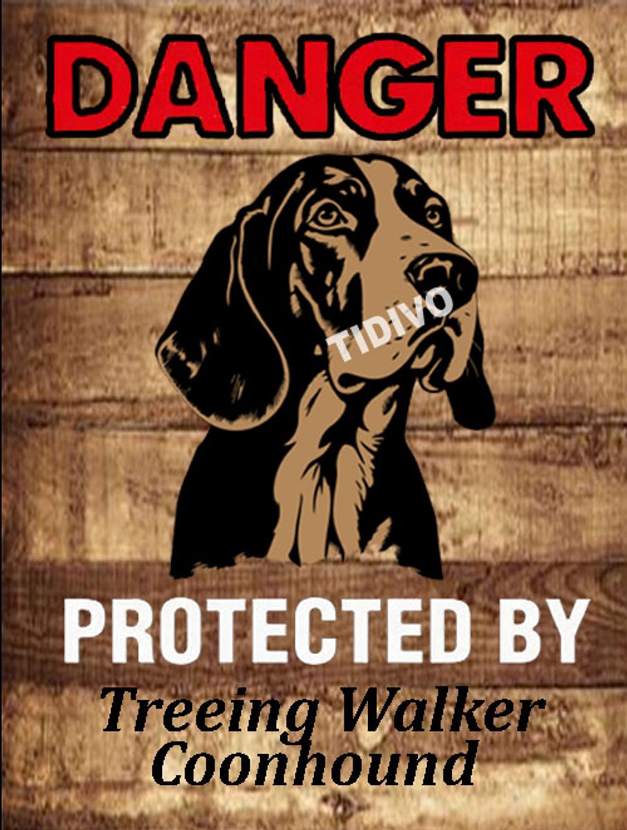 Treeing Walker Coonhound 19