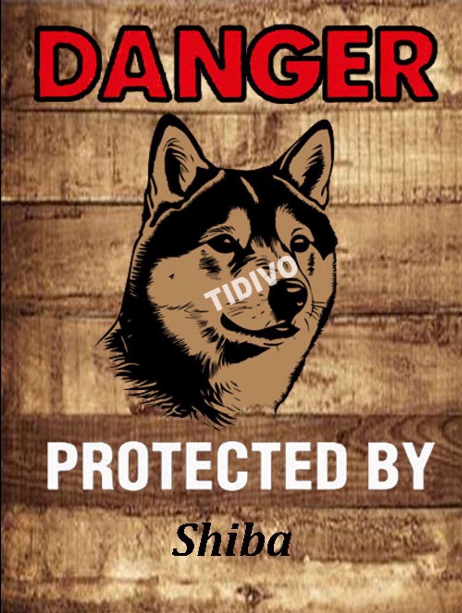 Shiba 19