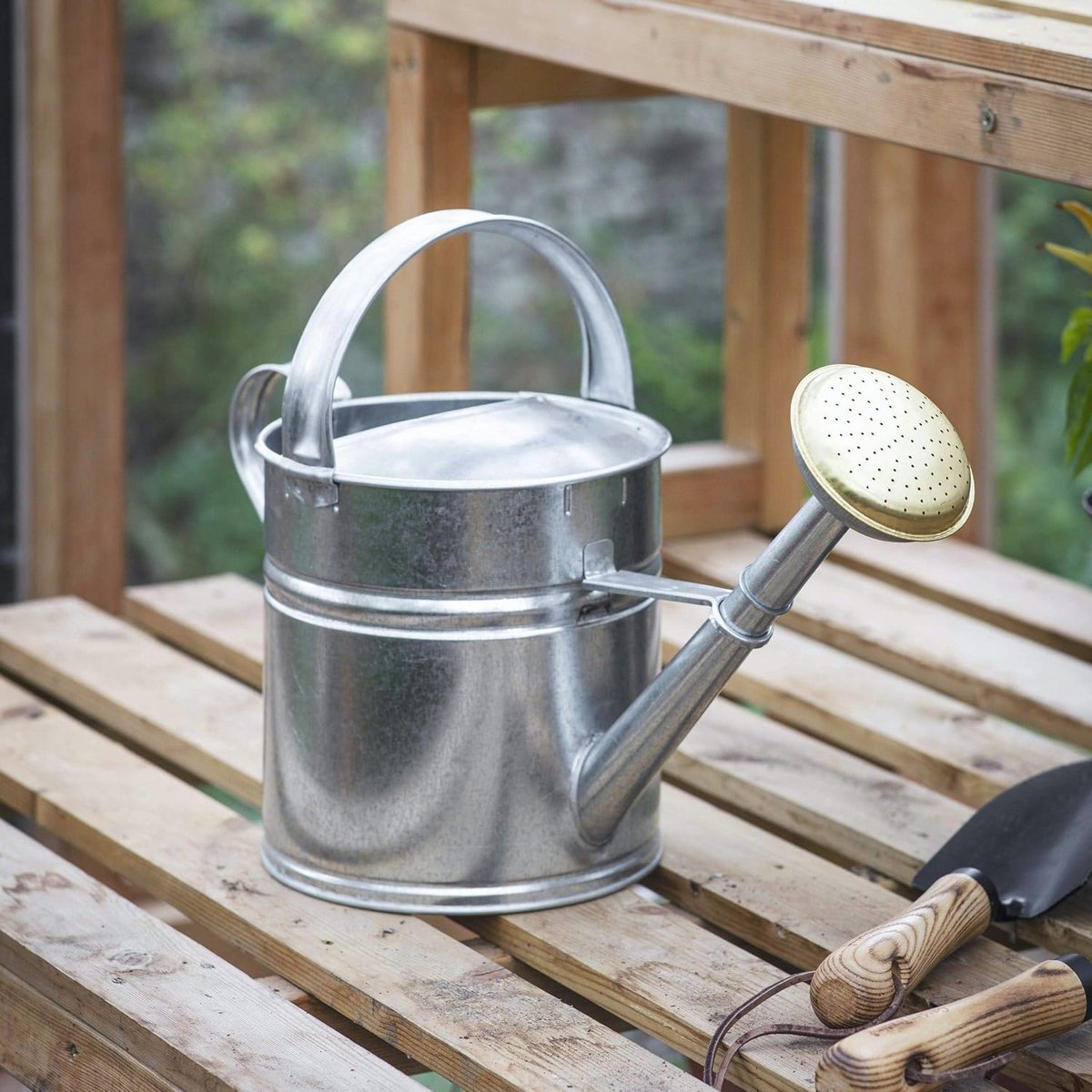 Gieter voor Buiten - 5L Gegalvaniseerd Staal, Roestwerend en Zwaar Belastbaar voor Tuinen en Planten