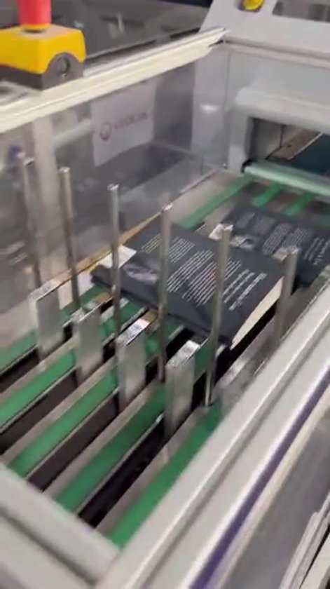 Haar naam is Lisa – Alleen geboren tweeling | Familieopstellingen | Persoonlijke heling & zelfontdekking