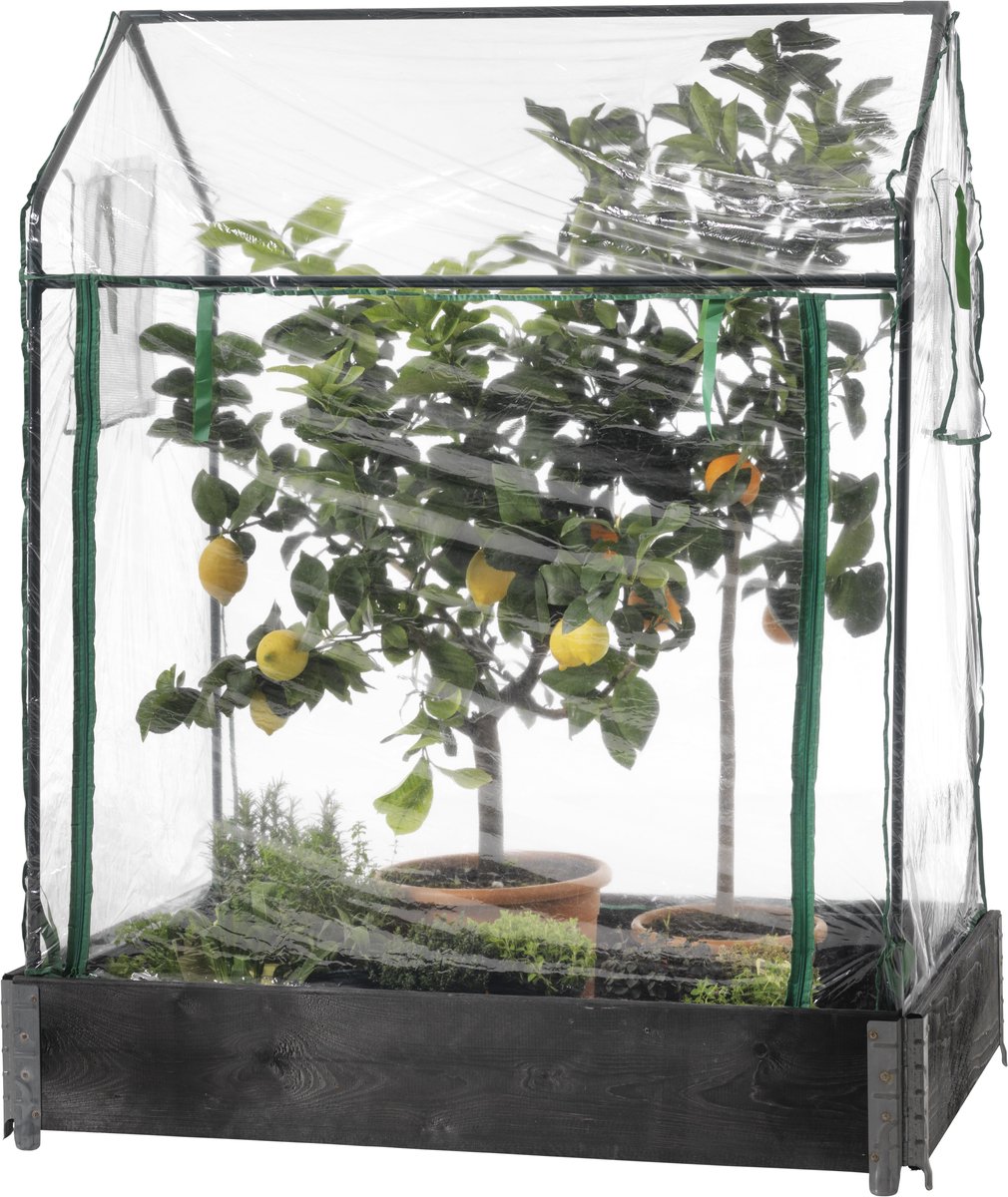 HOME It® Tuinkas voor Verhoogde Bedden - Moestuinkas - Bescherming voor Planten & Groenten - 115 × 76 × 110/130 cm