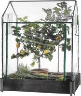 HOME It® Tuinkas voor Verhoogde Bedden - Moestuinkas - Bescherming voor Planten & Groenten - 115 × 76 × 110/130 cm